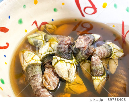 海の珍味 カメノテの塩茹で 海の珍味 カメノテの塩茹で 89738408