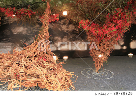 an Installation art of flower and root at display 89739329