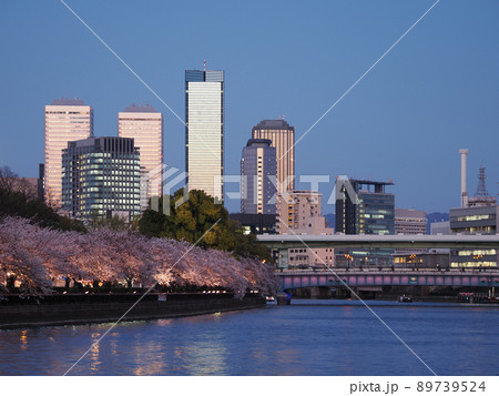 春、大阪天満橋と桜の夕景 89739524