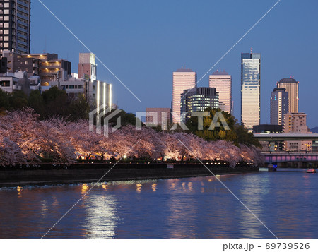春、大阪天満橋と桜の夕景 春、大阪天満橋と桜の夕景 89739526