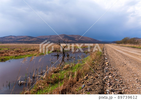 Landscape with lonely tree in the water 89739612
