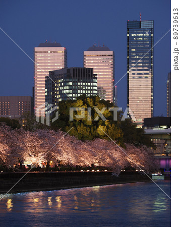 春、大阪天満橋と桜の夕景 89739613