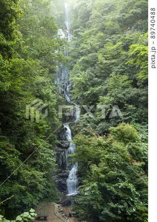 緑がいっぱい 緑がいっぱい 89740488