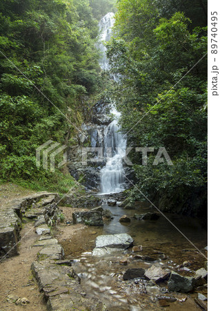 滝百選 89740495
