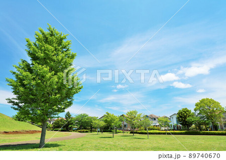 初夏の青空と新緑　街の公園風景 89740670
