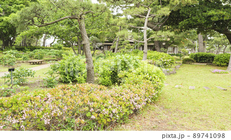 神奈川県横浜市金沢区野島公園にある伊藤博文別邸の春 神奈川県横浜市金沢区野島公園にある伊藤博文別邸の春 89741098