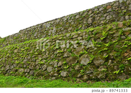 日本100名城・七尾城 89741333