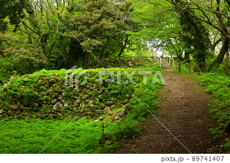 日本100名城・七尾城 89741407