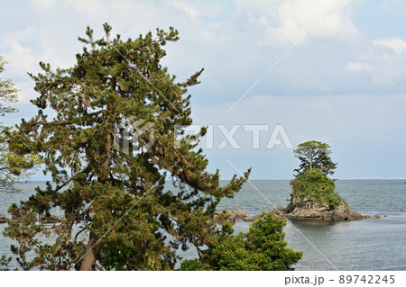 富山・雨晴海岸 89742245