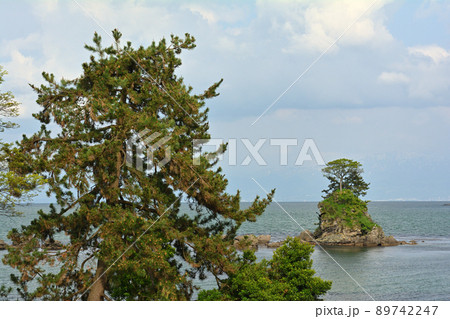 富山・雨晴海岸 89742247