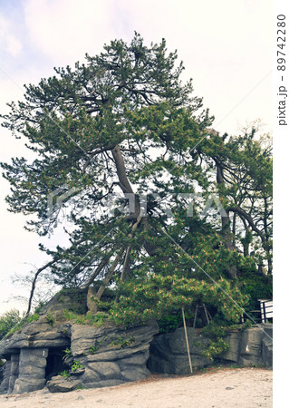 富山・雨晴海岸 富山・雨晴海岸 89742280