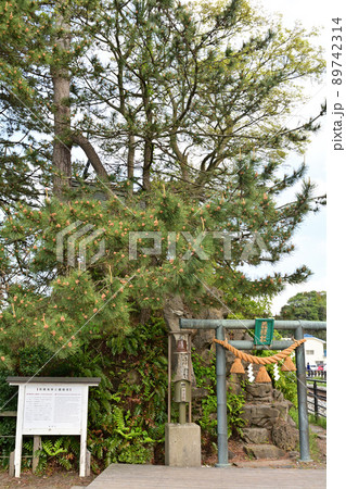 富山・雨晴海岸 89742314