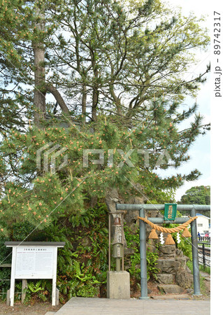 富山・雨晴海岸 89742317