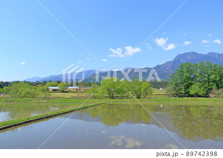 安曇野 5月の田園と北アルプス 安曇野 5月の田園と北アルプス 89742398