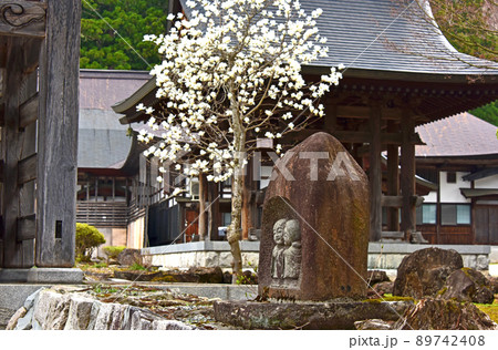 長野県 白馬村 長谷寺の春 長野県 白馬村 長谷寺の春 89742408