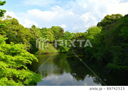 日本100名城・高岡城 89742523
