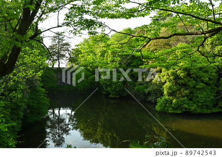 日本100名城・高岡城 日本100名城・高岡城 89742543