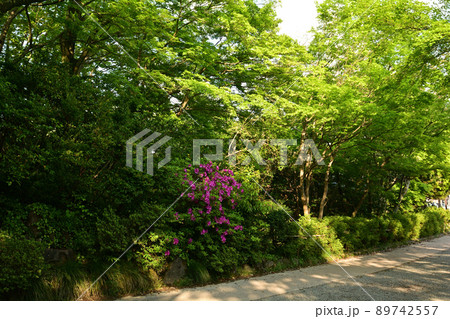 日本100名城・高岡城 日本100名城・高岡城 89742557