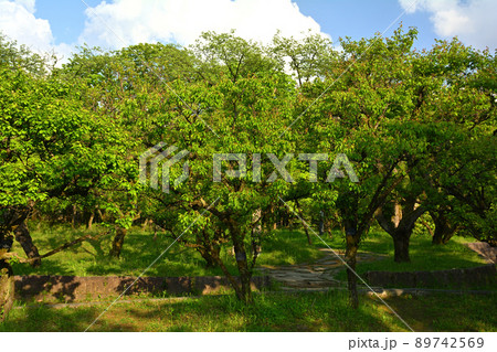 日本100名城・高岡城 日本100名城・高岡城 89742569