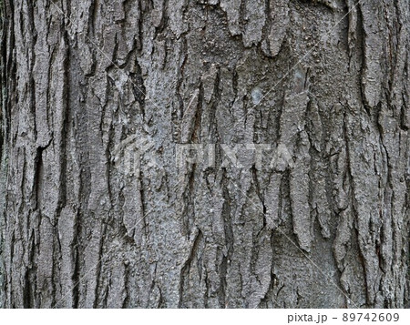 embossed tree bark as a natural backdrop 89742609
