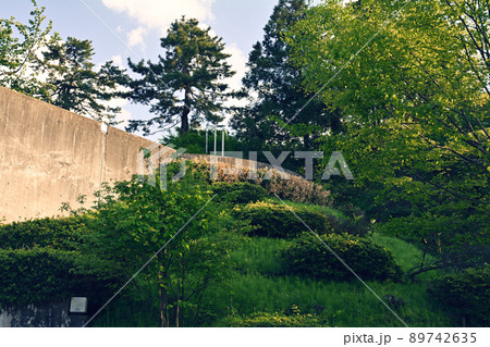 日本100名城・高岡城 89742635