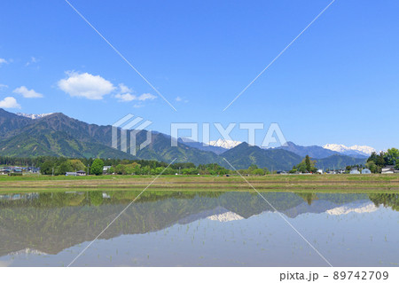 安曇野　5月の田園と北アルプス 89742709
