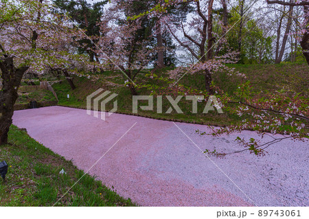 青森県弘前城、お堀を彩る桜の花びらと花筏 青森県弘前城、お堀を彩る桜の花びらと花筏 89743061
