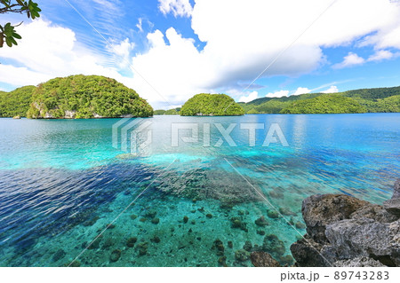景色 風景 夏 89743283