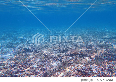 水中 海 海事 89743288