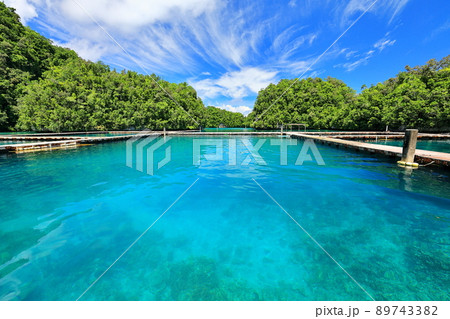 景色 風景 観光 89743382