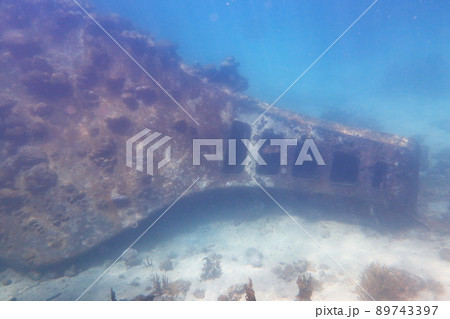 水上 水生 水中 89743397