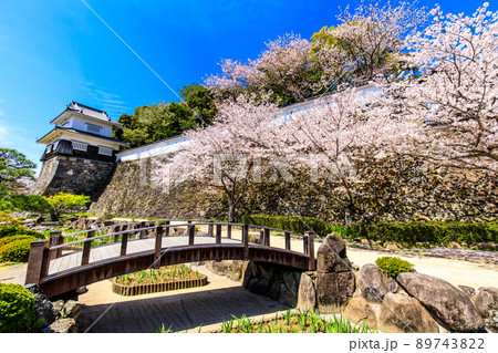 大村公園の桜　【長崎県大村市】 89743822