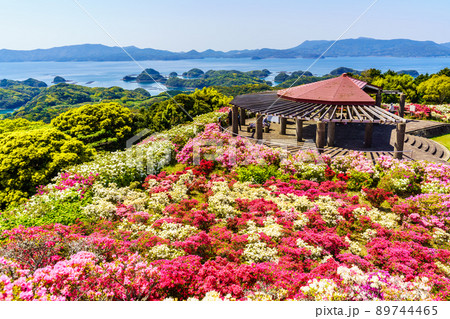 長串山公園のツツジ 九十九島を望む 【長崎県佐世保市鹿町町】 長串山公園のツツジ 九十九島を望む 【長崎県佐世保市鹿町町】 89744465