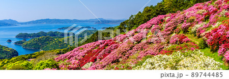 長串山公園のツツジ　九十九島を望む　パノラマ　【長崎県佐世保市鹿町町】 89744485