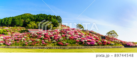 長串山公園のツツジ　パノラマ　【長崎県佐世保市鹿町町】 89744548