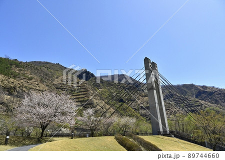 足尾銅山跡 銅親水公園に渡良瀬川にかかる銅橋 足尾銅山跡 銅親水公園に渡良瀬川にかかる銅橋 89744660
