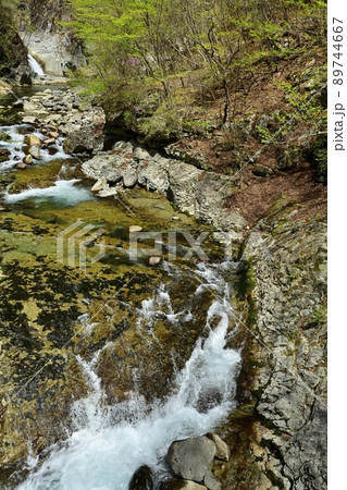 足尾銅山跡　小滝坑付近の庚申川の渓谷 89744667