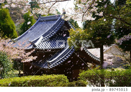 神呪寺仁王門と桜吹雪(兵庫県西宮市) 神呪寺仁王門と桜吹雪(兵庫県西宮市) 89745013