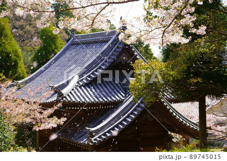 神呪寺仁王門と桜吹雪(兵庫県西宮市) 神呪寺仁王門と桜吹雪(兵庫県西宮市) 89745015
