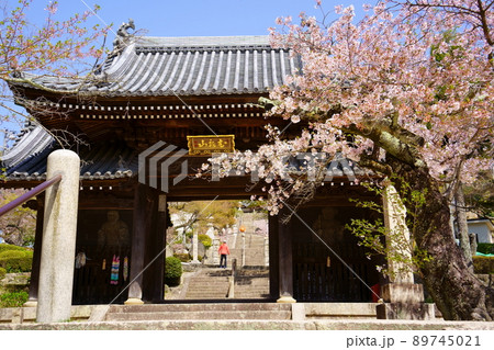 神呪寺仁王門と桜（兵庫県西宮市） 89745021