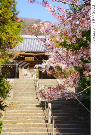 神呪寺仁王門と桜（兵庫県西宮市） 89745022
