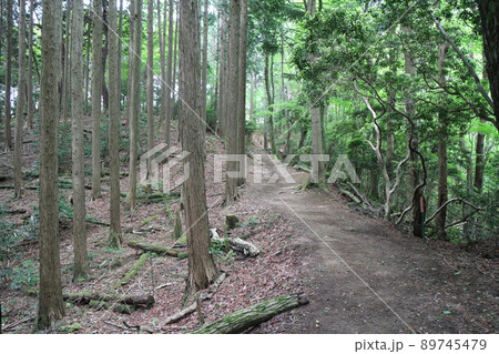 東海自然歩道の山間コース 東海自然歩道の山間コース 89745479