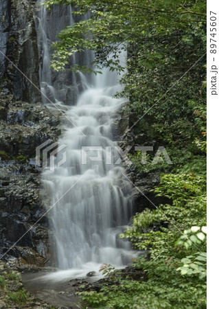 新緑の滝 89745607