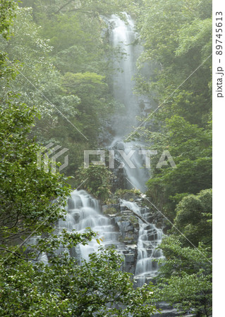 日本の神秘 89745613