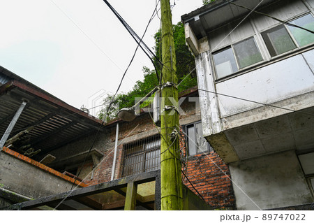 こけ コケ 苔 89747022