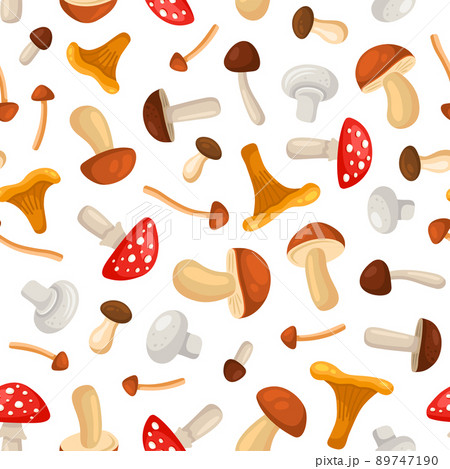 Mushrooms Seamless Pattern on White Background. Vector 89747190