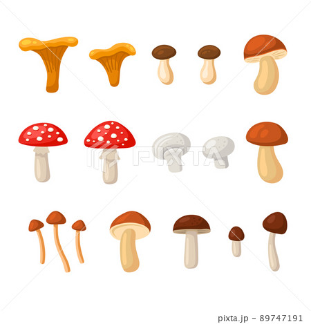 Mushrooms Set. Cartoon Style on White Background. Vector 89747191
