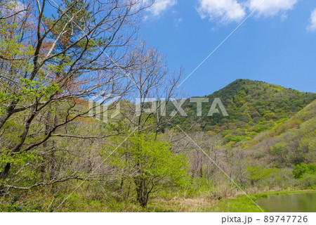三瓶山 室の内池から子三瓶までの景色:右回り(2022年5月) 三瓶山 室の内池から子三瓶までの景色:右回り(2022年5月) 89747726