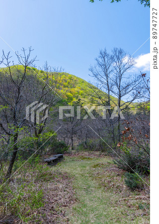 三瓶山 室の内池から子三瓶までの景色:右回り(2022年5月) 三瓶山 室の内池から子三瓶までの景色:右回り(2022年5月) 89747727