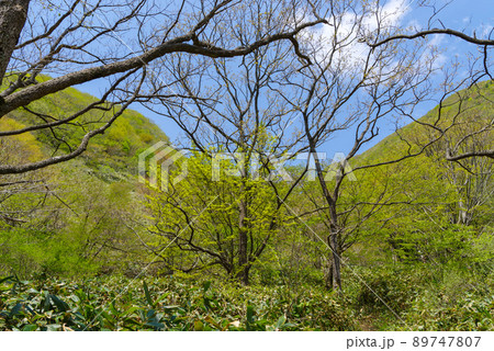 三瓶山　室の内池から子三瓶までの景色：右回り（2022年5月） 89747807